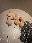 Poedel nestje 