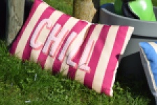 Chow Chow (teef) 66145