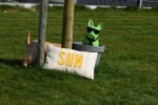 Retriever Golden (teef) 30861