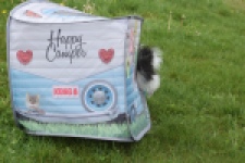 Keeshond (teef) 07474